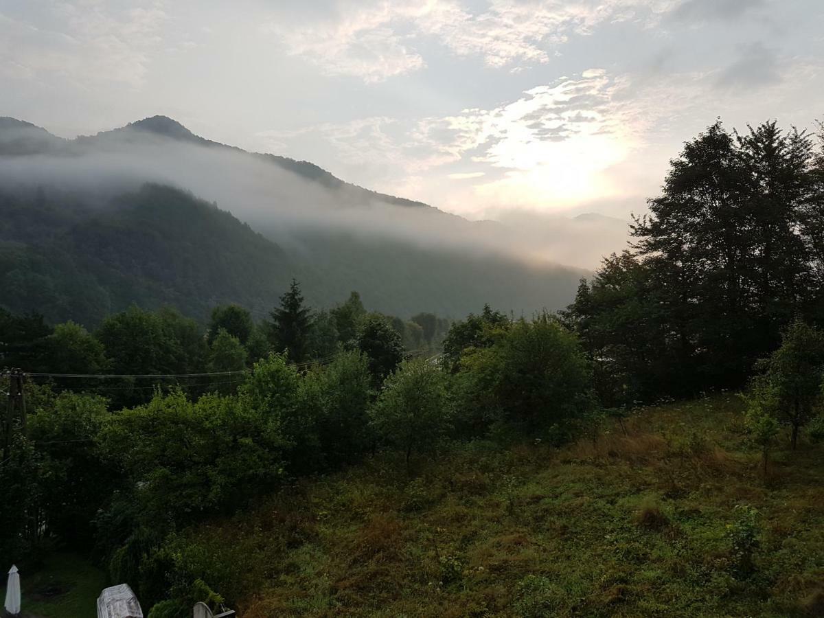 Agroturystyka U Zbyszka Tylmanowa Bagian luar foto